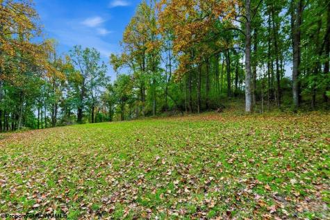 0 Peach Tree Fork Road Normantown WV 25267