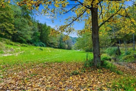 0 Peach Tree Fork Road Normantown WV 25267