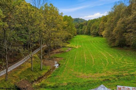 0 Peach Tree Fork Road Normantown WV 25267