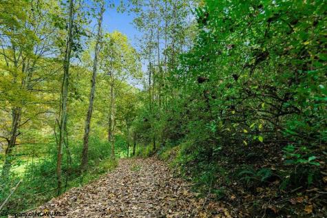 0 Peach Tree Fork Road Normantown WV 25267