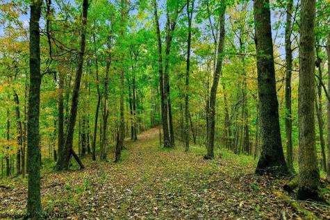 0 Peach Tree Fork Road Normantown WV 25267