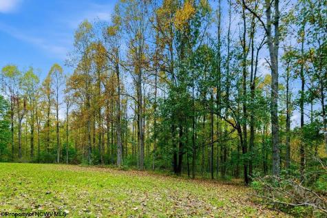 0 Peach Tree Fork Road Normantown WV 25267
