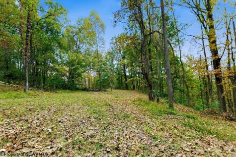 0 Peach Tree Fork Road Normantown WV 25267