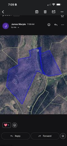 0 Peach Tree Fork Road Normantown WV 25267