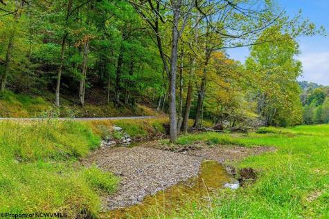 0 Peach Tree Fork Road Normantown WV 25267