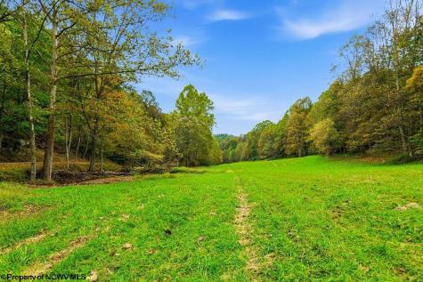 0 Peach Tree Fork Road Normantown WV 25267