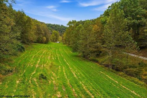 0 Peach Tree Fork Road Normantown WV 25267