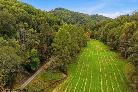 0 Peach Tree Fork Road Normantown WV 25267
