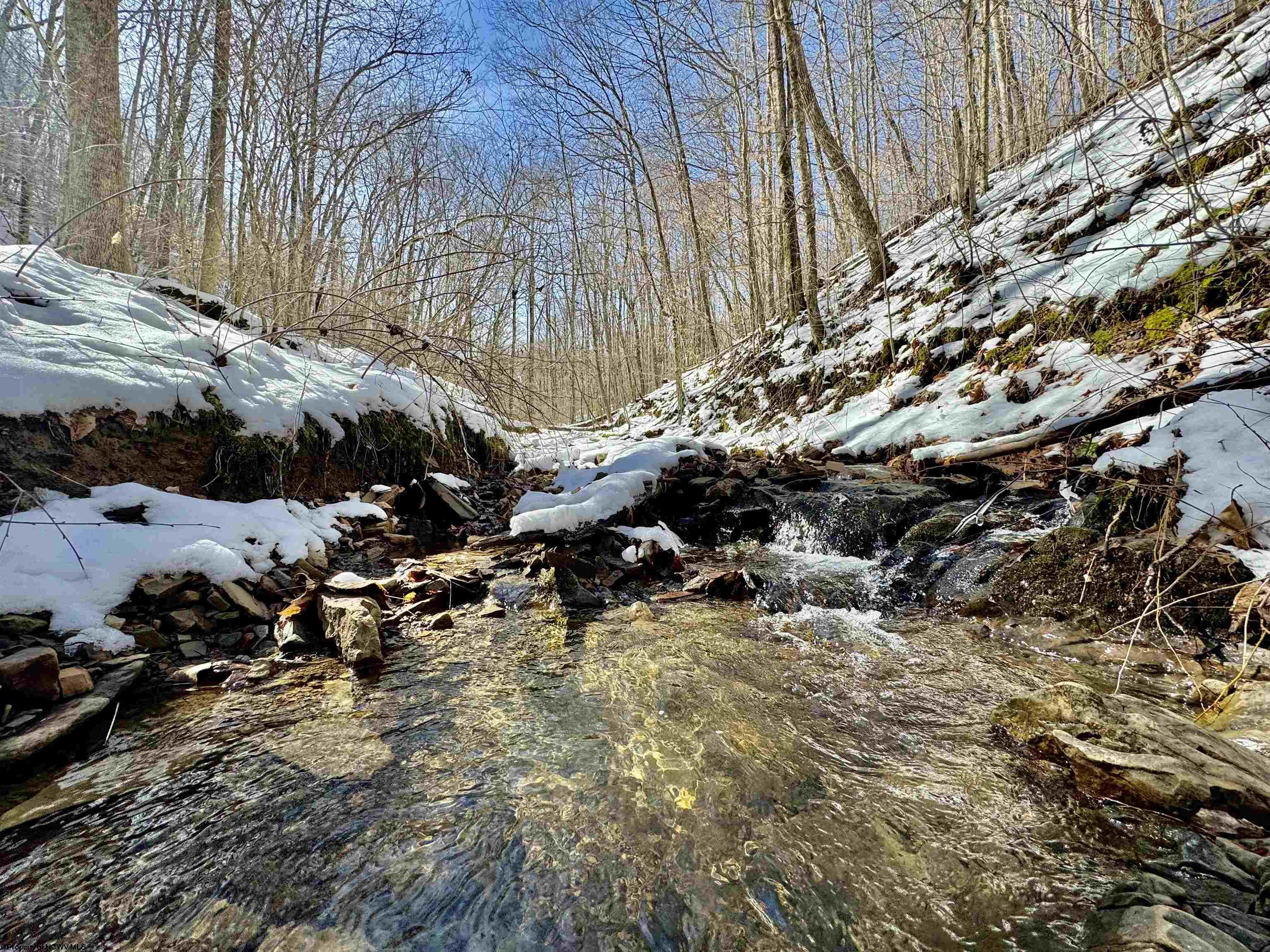 0 Mcatee Drive Huttonsville WV 26273