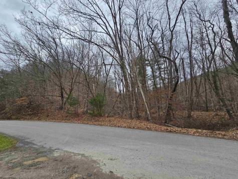 0 Mcatee Drive Huttonsville WV 26273