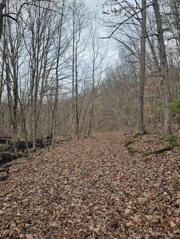 0 Mcatee Drive Huttonsville WV 26273