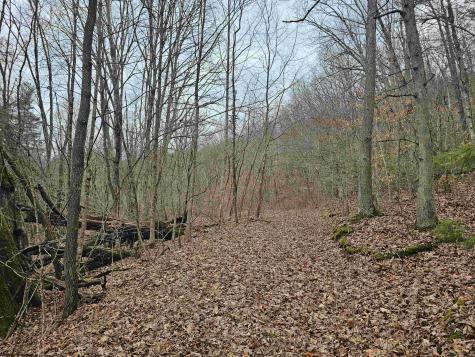 0 Mcatee Drive Huttonsville WV 26273