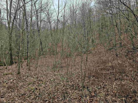 0 Mcatee Drive Huttonsville WV 26273
