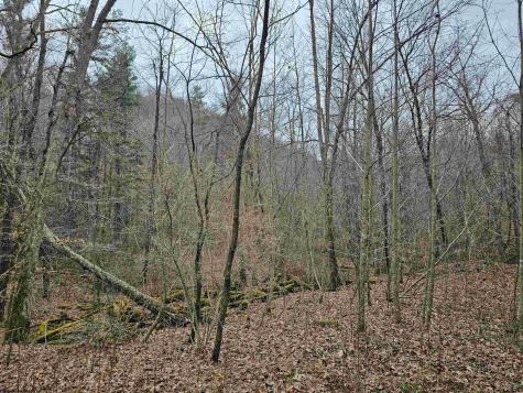 0 Mcatee Drive Huttonsville WV 26273
