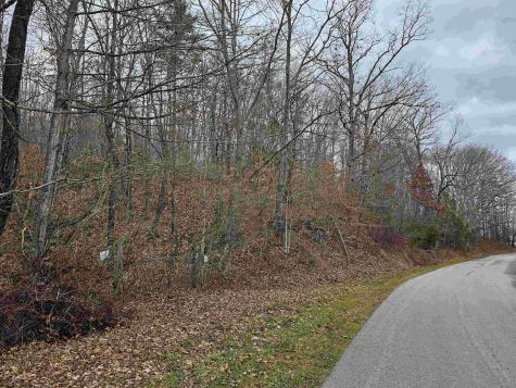 TBD Mcatee Drive Huttonsville WV 26273