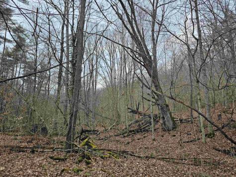 0 Mcatee Drive Huttonsville WV 26273