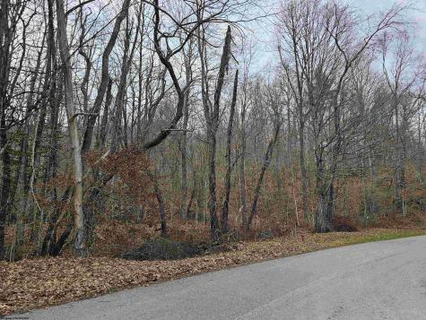 0 Mcatee Drive Huttonsville WV 26273