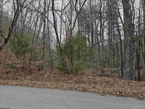 TBD Mcatee Drive Huttonsville WV 26273