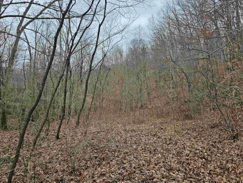 0 Mcatee Drive Huttonsville WV 26273