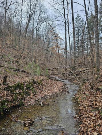 0 Mcatee Drive Huttonsville WV 26273