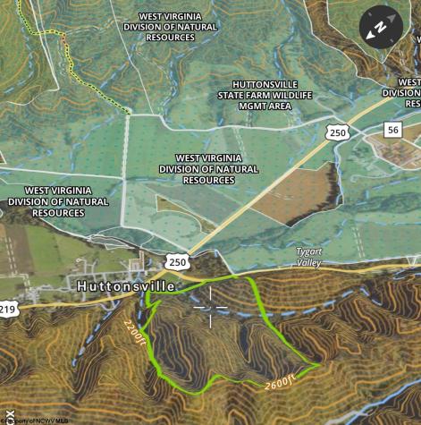 0 Mcatee Drive Huttonsville WV 26273