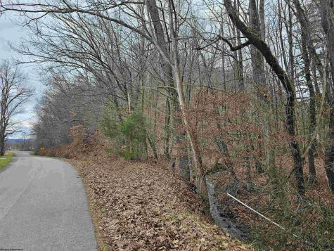 0 Mcatee Drive Huttonsville WV 26273