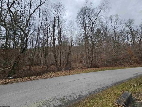 0 Mcatee Drive Huttonsville WV 26273