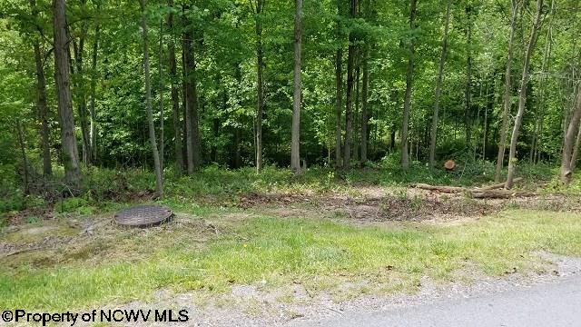 209 Woodside Lane Bridgeport WV 26330