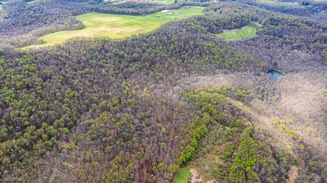 0 Hill Top Drive Bruceton Mills WV 26525