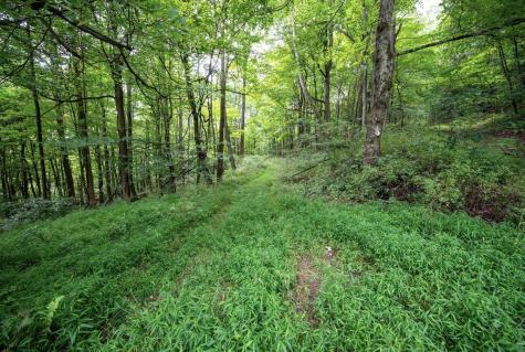 1 Buck Lick Road Terra Alta WV 26764