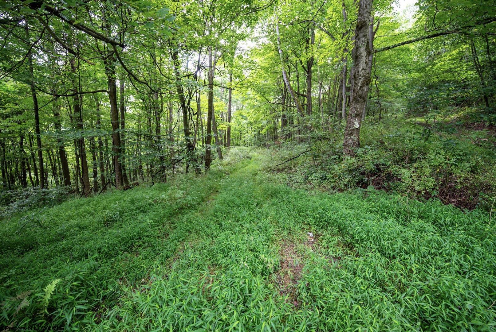 1 Buck Lick Road Terra Alta WV 26764