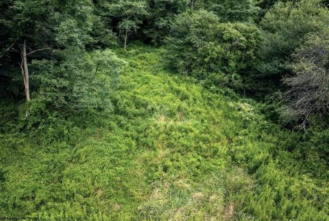 1 Buck Lick Road Terra Alta WV 26764