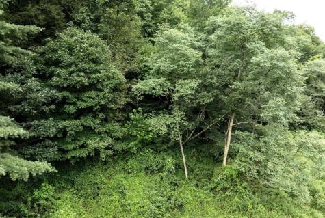 1 Buck Lick Road Terra Alta WV 26764