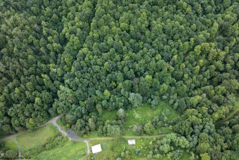1 Buck Lick Road Terra Alta WV 26764