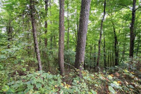 1 Buck Lick Road Terra Alta WV 26764