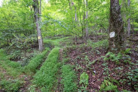 1 Buck Lick Road Terra Alta WV 26764