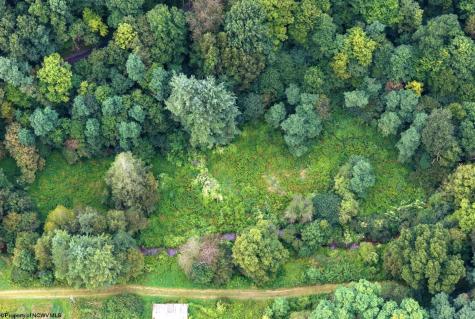 1 Buck Lick Road Terra Alta WV 26764