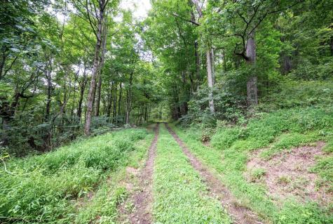 1 Buck Lick Road Terra Alta WV 26764