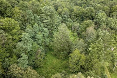 1 Buck Lick Road Terra Alta WV 26764