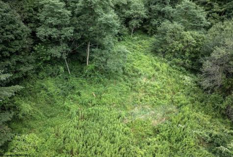 1 Buck Lick Road Terra Alta WV 26764