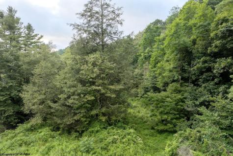 1 Buck Lick Road Terra Alta WV 26764