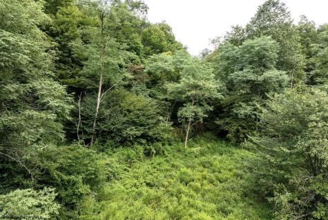 1 Buck Lick Road Terra Alta WV 26764