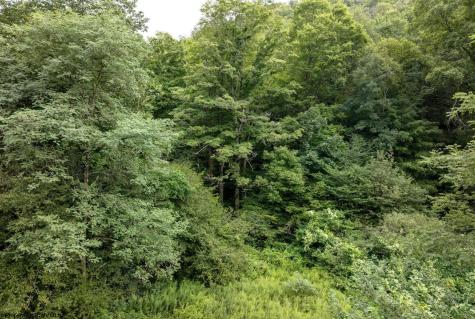 1 Buck Lick Road Terra Alta WV 26764