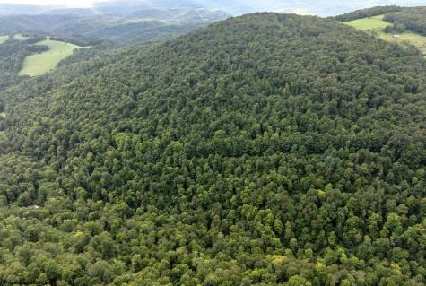 1 Buck Lick Road Terra Alta WV 26764