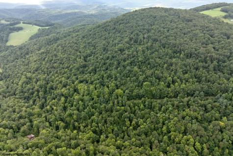 1 Buck Lick Road Terra Alta WV 26764