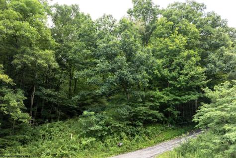 1 Buck Lick Road Terra Alta WV 26764
