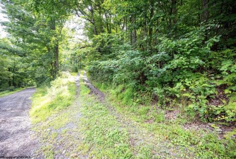 1 Buck Lick Road Terra Alta WV 26764