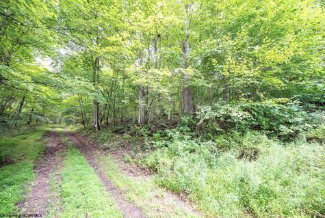 1 Buck Lick Road Terra Alta WV 26764