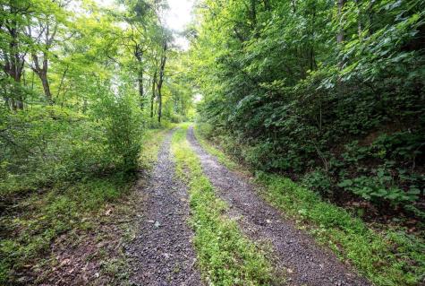 1 Buck Lick Road Terra Alta WV 26764