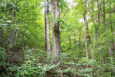 1 Buck Lick Road Terra Alta WV 26764